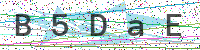 Enter Security Code